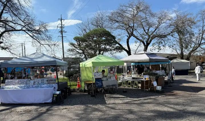 千曲錦酒造の春の大感謝祭で楽しめる新酒試飲・販売ブースの様子