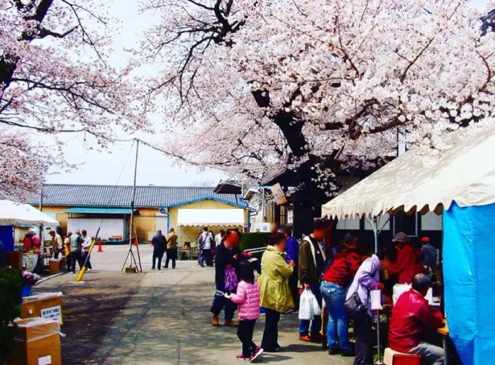 千曲錦 春の大感謝祭の地元グルメブースと出店イベントの様子