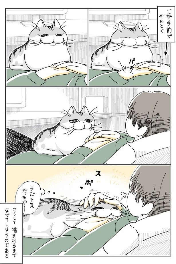 02 画像提供：キュルZ@kyuryuZ