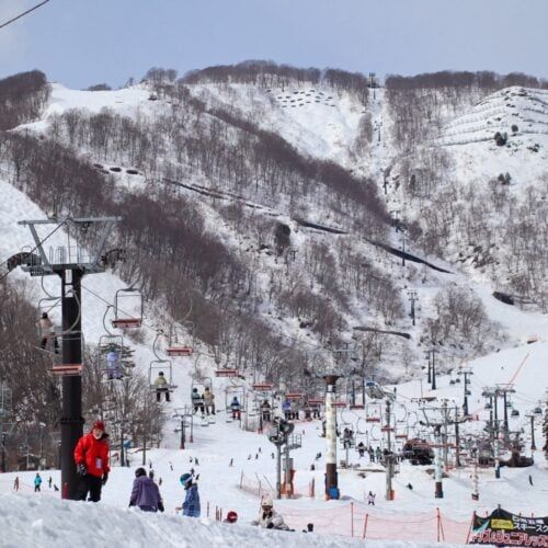 GWは絶対に「白馬」がおすすめな2つの理由！リフト券がお得＆“雪と新緑”をハシゴできる、春のHakuba Valley攻略法