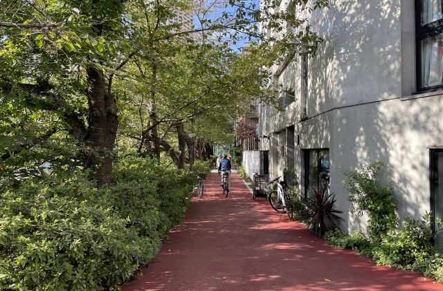 整備された緑道 赤い塗装 サイクリングや散歩する人