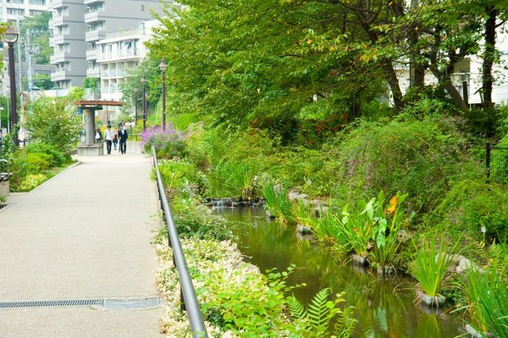 目黒川緑道