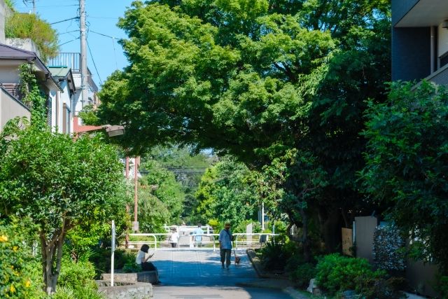 鮮やかな緑 緑道と散歩する人 木陰で休憩する人
