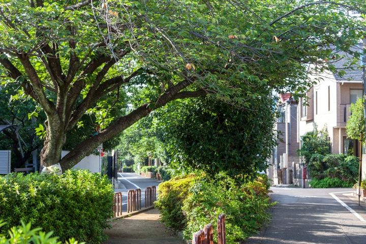 呑川緑道・柿の木坂コース（東京都目黒区柿の木坂） 東京の緑道イメージ