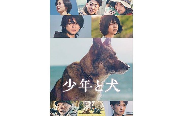 写真は「少年と犬」 （C）2025映画「少年と犬」製作委員会