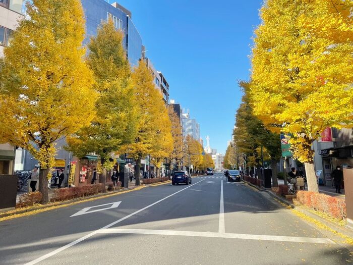 スマホを使わずに現在地を確認する方法。いざという時に役立ちますよ！