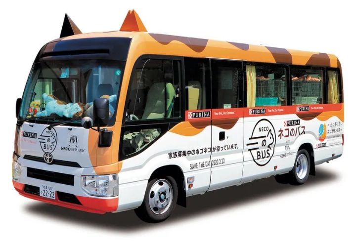 プロレスラーと猫