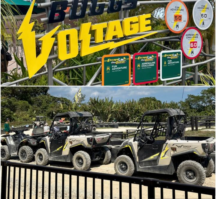 「ジャングリア沖縄」の目玉アトラクション「バギーボルテージ」