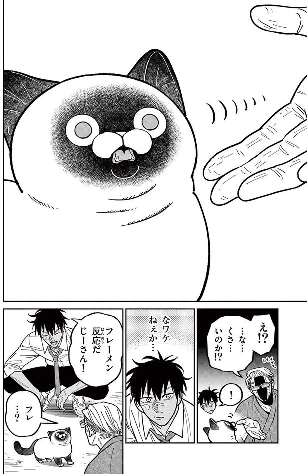 フレーメン反応だ、じーさん！ （C）片倉頼／小学館