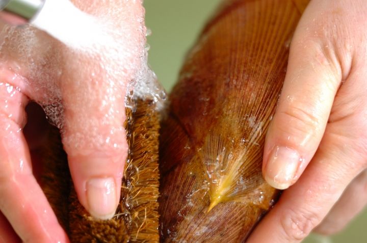 簡単！基本のタケノコの茹で方の作り方1