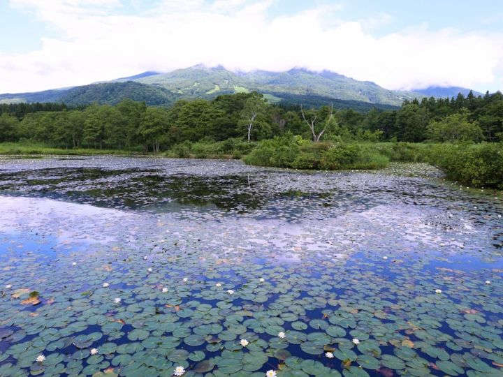 新潟県妙高市の「池の平温泉」は、妙高戸隠連山国立公園内に位置する温泉地です。周辺には「いもり池」などの絶景スポットに加え、黒泥露天風呂を楽しめる施設があります。四季を通じてアクティビティと癒やしを求める多くの旅行者に愛されています。