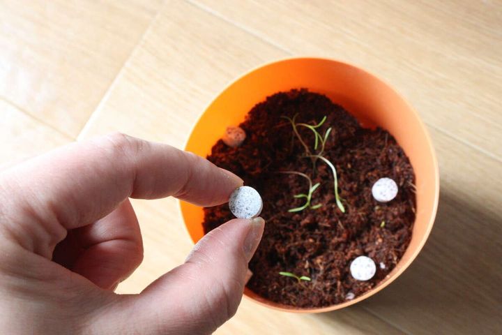 ダイソー プロミック いろいろな植物用 使用例