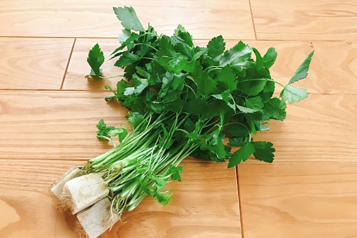 一年を通して出回る「糸みつば」。根元まで青々としたものは栄養価が高いサイン。