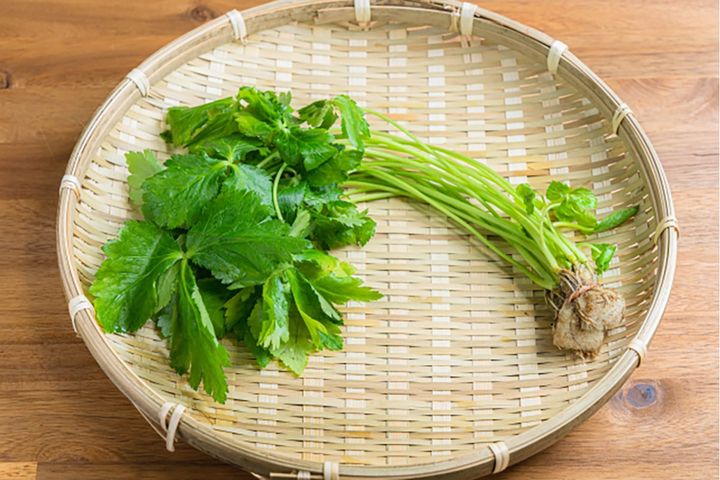 さわやかな香りが日本料理を引き立てる「ミツバ」をクローズアップ。