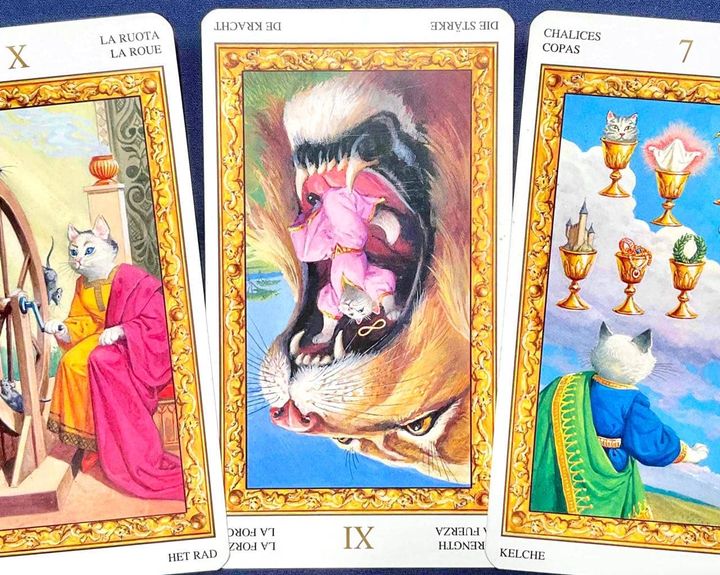 【獅子座】2026年4月6日〜4月12日運勢