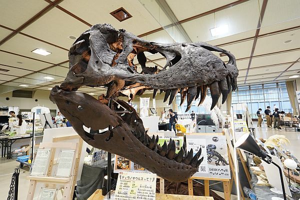 【愛知県名古屋市】自然科学に親子で触れるイベント「博物マニア2026」開催。ヘルドクターくられ氏登壇！