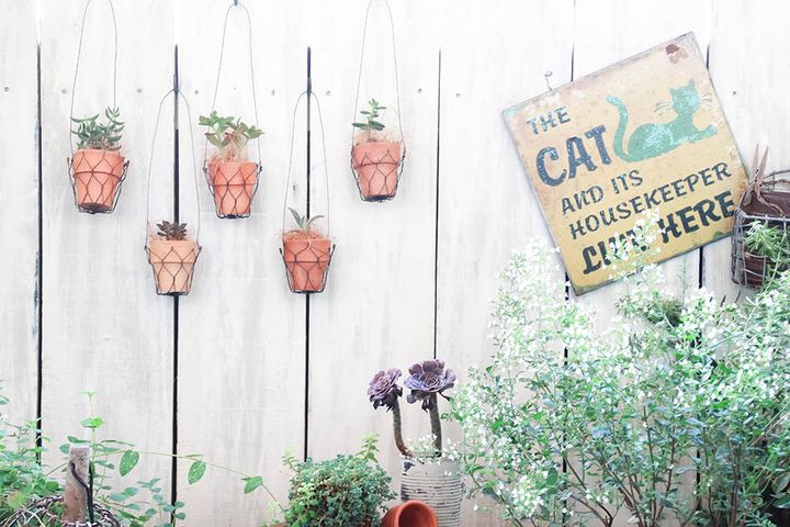 ワイヤーの多肉ホルダー