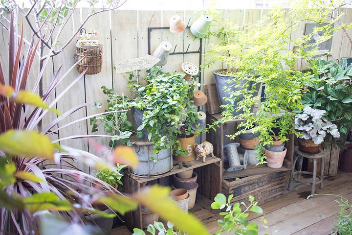 ベランダガーデン