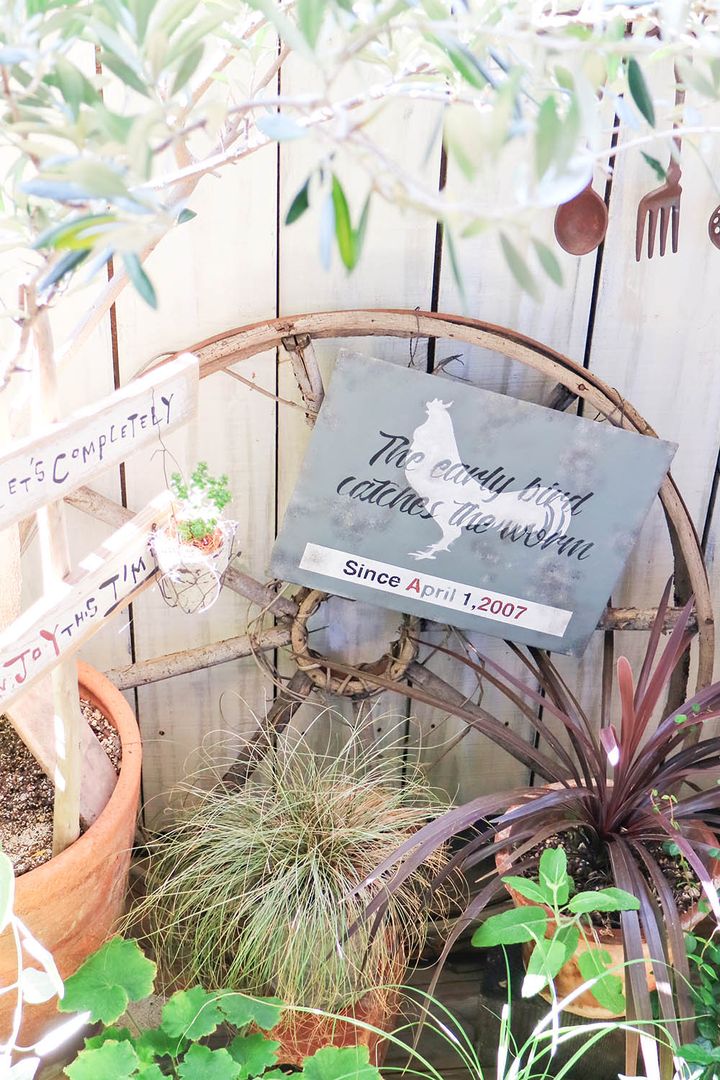 ベランダガーデン