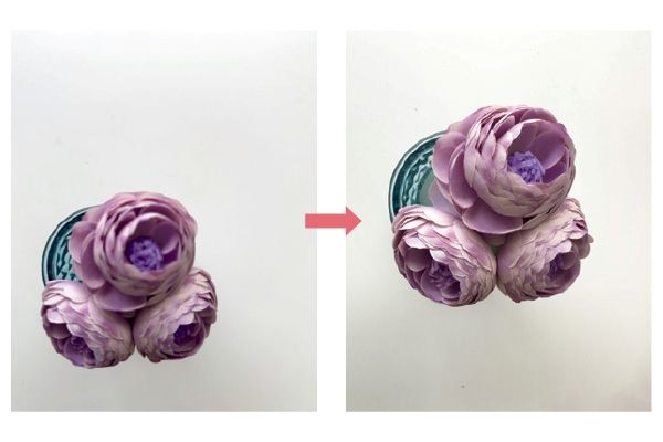 きれいに撮るためにここも押さえておこう