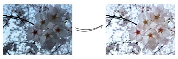 きれいに撮るためにここも押さえておこう