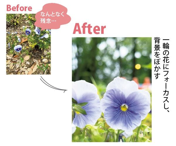 慌てて撮らず、余計なものは取り除く