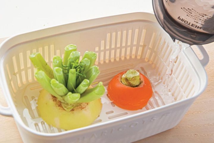 キッチンで簡単に育つ【リボベジ】リーフレタス、ニンジン、ダイコンの栽培方法は？