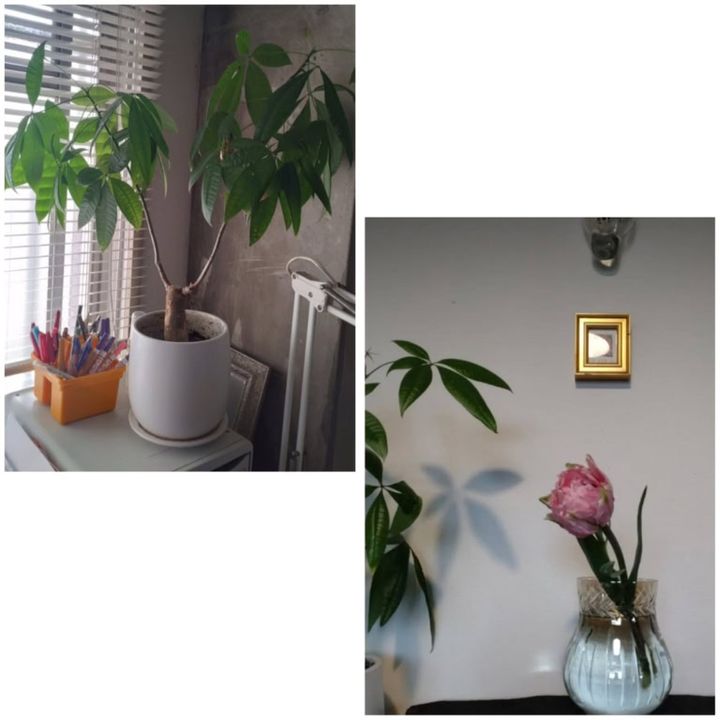 礒部さん４月ブログ5-4