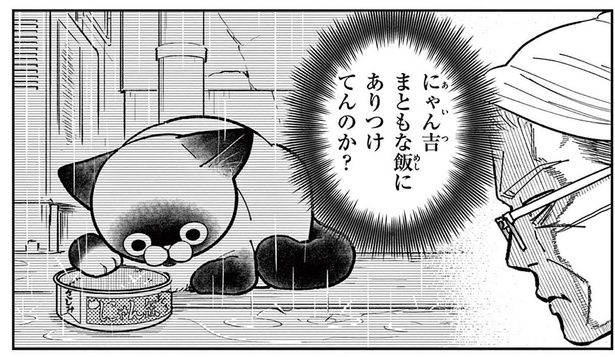「飯にありつけてんのか？」雨の日に姿を現さない野良猫が心配すぎる！ （C）片倉頼／小学館