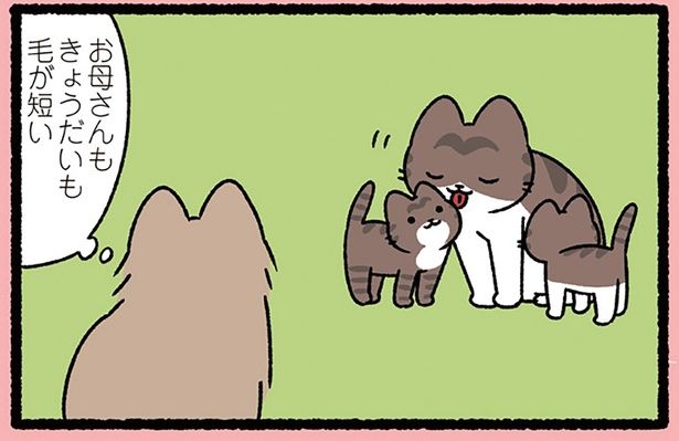 お母さんもきょうだいも… （C）ぱんだにあ／KADOKAWA