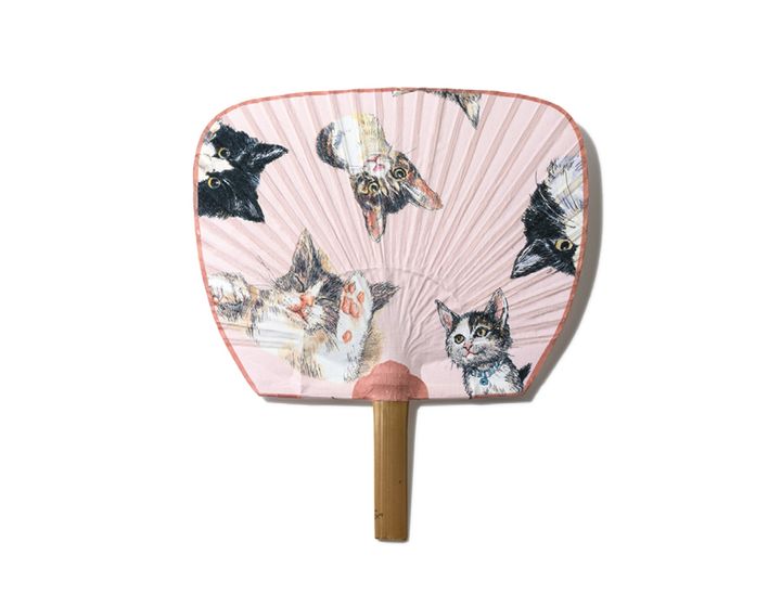 表情豊かな猫たちと一緒に涼んで。