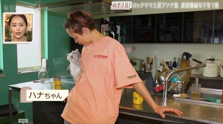 【写真・画像】4児の母・土屋アンナ、5年前に購入した4LDK一軒家の自宅を公開も“床に穴”…犬３匹猫６匹も暮らすありのままの室内に自虐「うち動物園だから」 2枚目