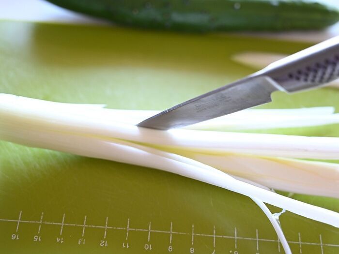 レンチン15分で鶏むね肉がしっとりジューシー♪『よだれ鶏風チャーシュー』の簡単レシピ