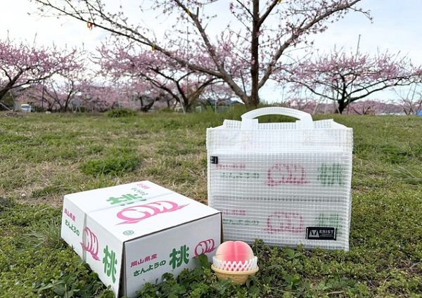 桃やぶどうなどの贈答箱を安全に持ち運びできる「EBISTトート | FRUIT BOX」発売！