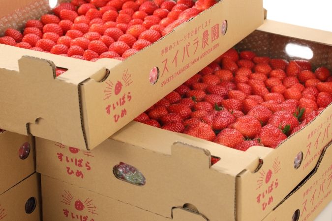 スイーツパラダイスブランドいちご食べ放題 アールスメロン登場」／いちごイメージ