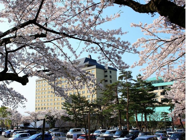 All About ニュース編集部が全国250人を対象に実施した「桜の名所」に関するアンケートの調査結果から、岩手県で「行ってみたい＆好きな桜の名所」ランキングを発表！ 3位「花巻温泉」を抑えた2位と1位は？