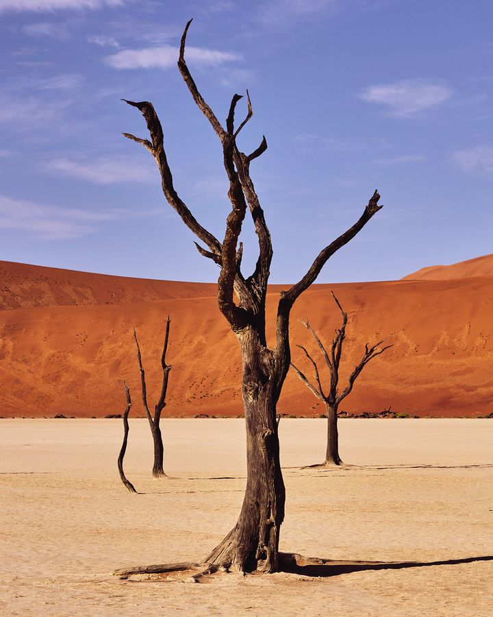 ナミビアで紡がれる、メシカのダイヤモンド物語。