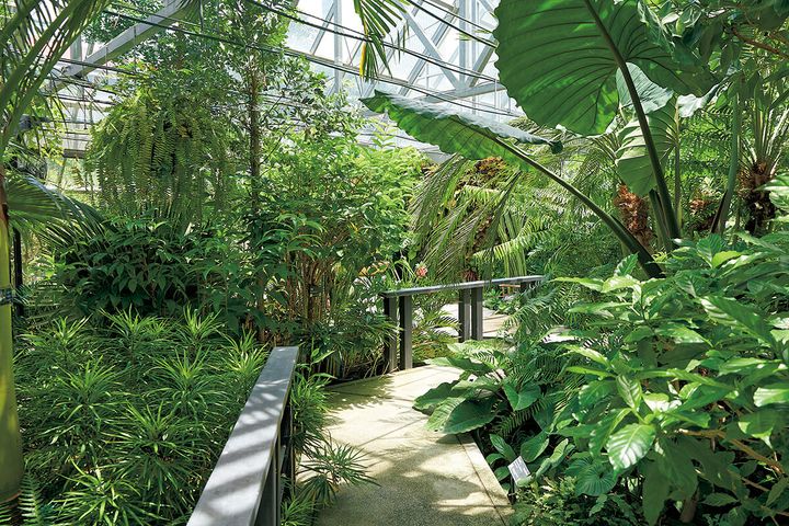 バンコク チュラ大学〈植物園〉内観