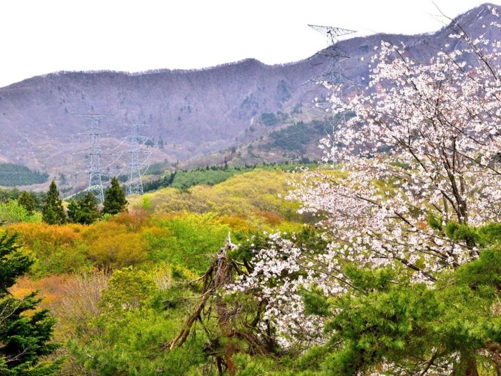 All About ニュース編集部が全国250人を対象に実施した「旅行先に関するアンケート」の調査結果から、春に行きたいと思う「山形県の旅行先」ランキングを発表！ 2位「蔵王連峰」を抑えた1位は？