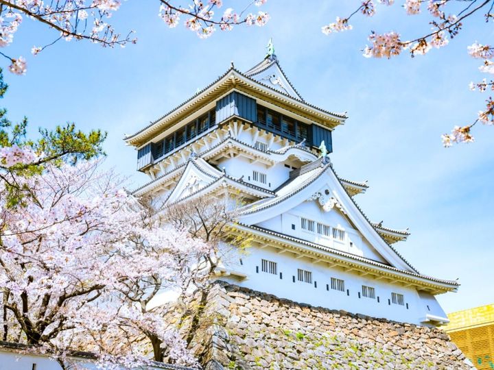 All About ニュース編集部が全国250人を対象に実施した「桜の名所に関するアンケート」の調査結果から、福岡で行ってみたい＆好きな桜の名所ランキングを発表！ 2位「小倉城」を抑えた1位は？