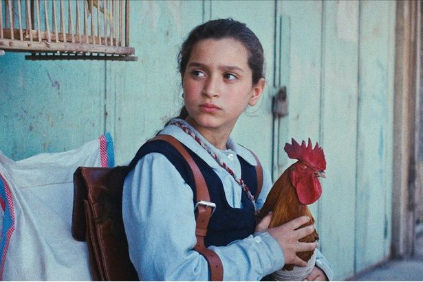 【写真を見る】出演者全員が演技未経験！『DUNE/デューン』の脚本家が見出した、珠玉のドラマが日本上陸 [c] 2025 TPC Film LLC All Rights Reserved.