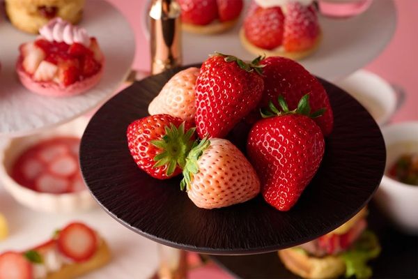 【東京都港区】国産いちご6品種を食べ比べ！DEKで「ストロベリーアフタヌーンティー」が開催