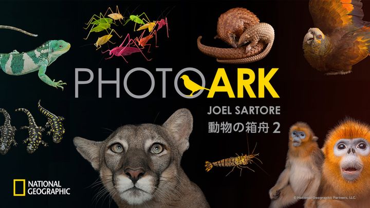 PHOTO ARK：動物の箱舟 2