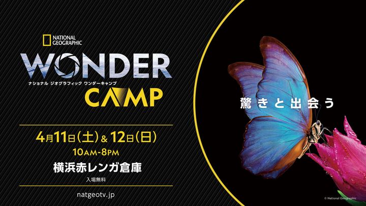 横浜赤レンガ倉庫「ナショナル ジオグラフィック ワンダーキャンプ」