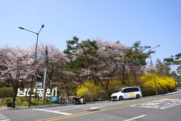 桜に加え、レンギョウも満開。派手な登山服にサングラスをかけた韓国アジュンマ（おばさん）＆アジョッシ（おじさん）もたくさん見かけました。