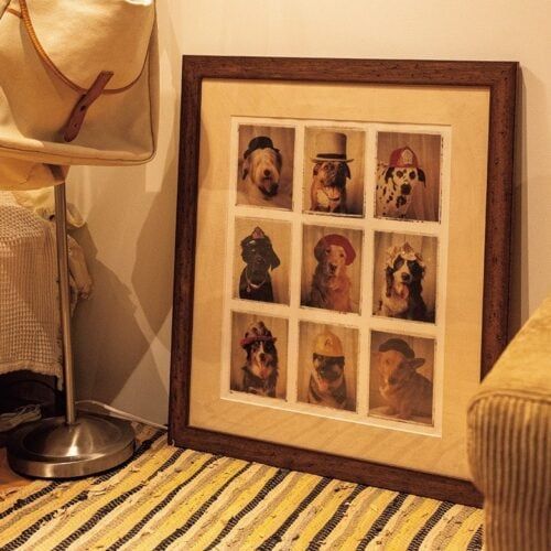 【1Rルームツアー】会社員・伊藤亜力さんの“好き”を詰め込んだ部屋は、オープンラックで作る「ショップのような見せる収納」術