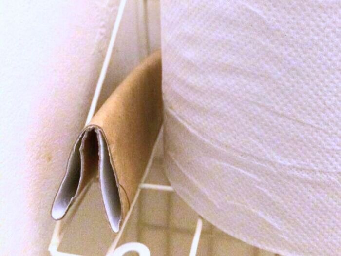 わが家はトイレに芳香剤を置いていません。まさかの消臭テクに「思いつかなかった！」「意外とイイかも！？」