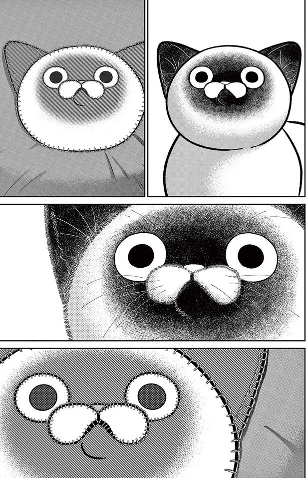 じーーーーっ （C）片倉頼／小学館