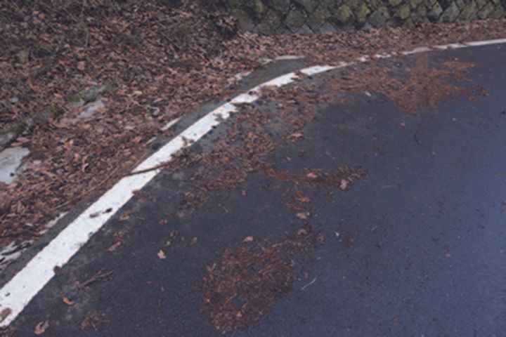 【脱・アウトインアウト】公道の正解は「ミドル・ミドル・ミドル」！余裕を生むライン取りの新常識