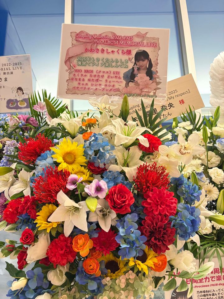 乃木坂46 ライブレポ